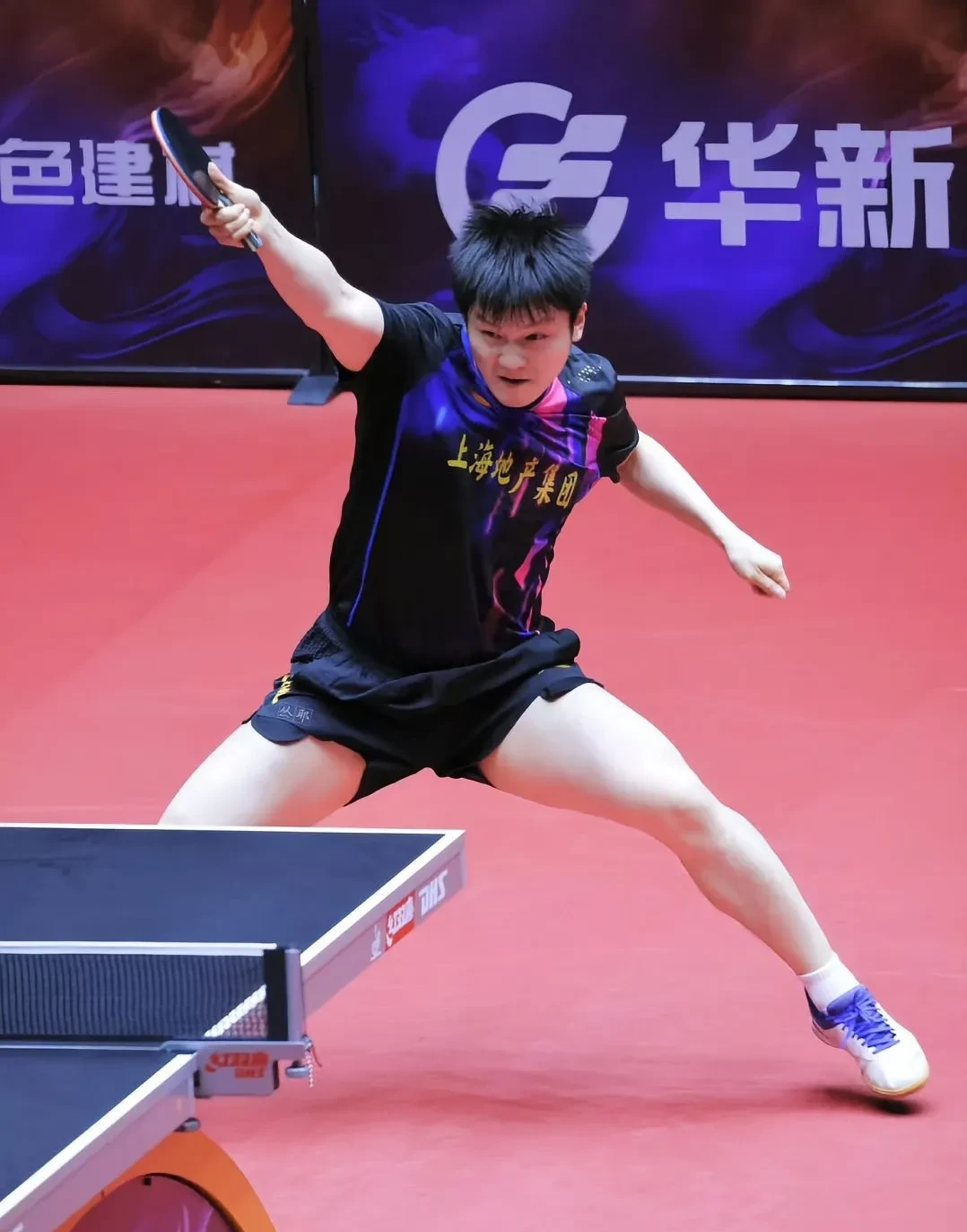 英国乒乓球队强势波兰乒乓球队,樊振东统治全场的简单介绍 英国乒乓球队强势波兰乒乓球队,樊振东统治全场的简单介绍