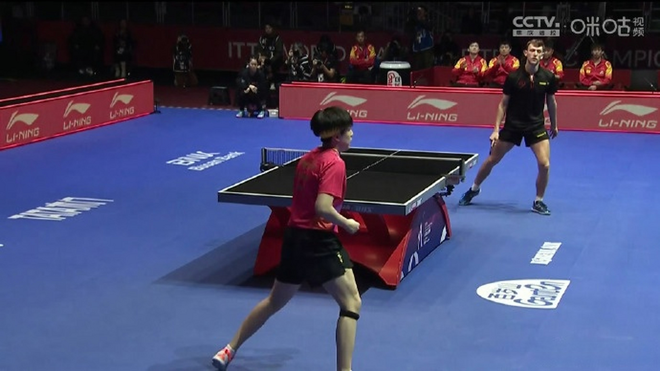 比利时乒乓球队鏖战英国乒乓球队，波尔制霸全场
