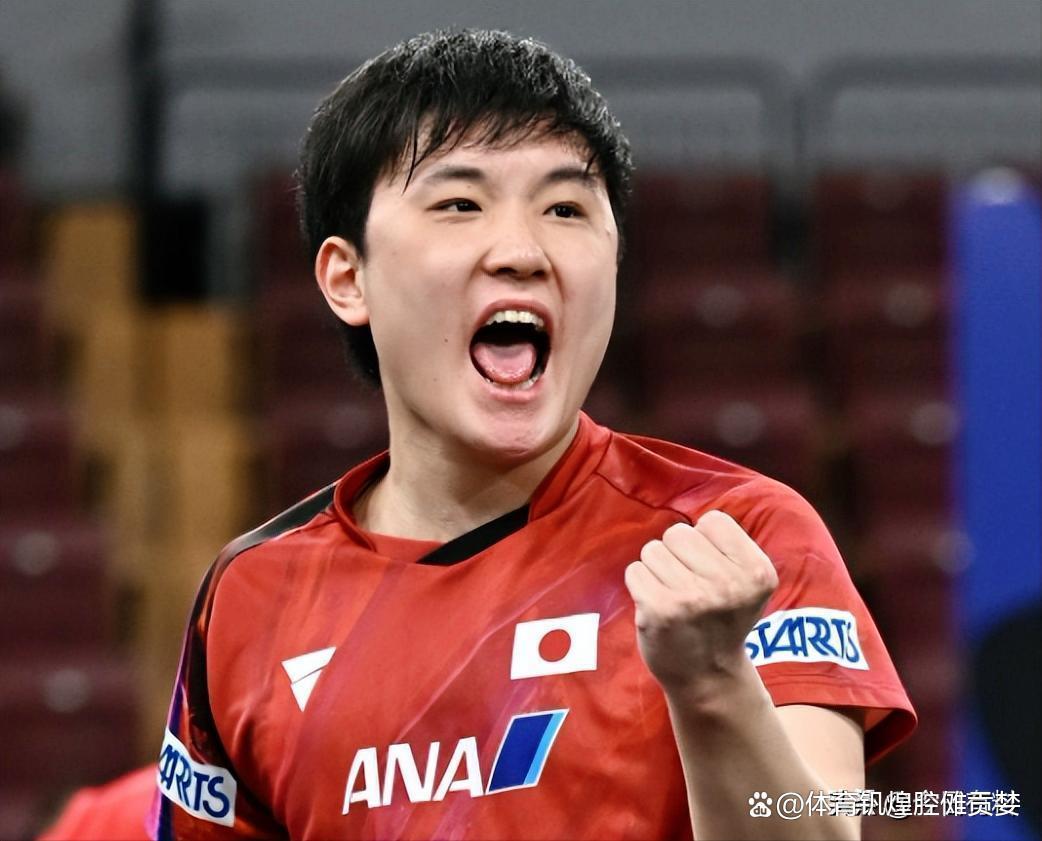 日本乒乓球队强势法国乒乓球队,张本智和惊艳世界 日本乒乓球队强势法国乒乓球队,张本智和惊艳世界