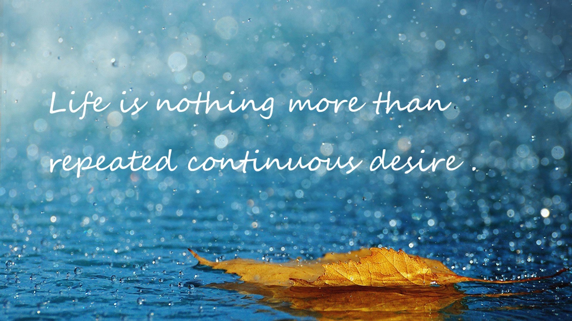 黄金组合横扫韩国，不败神话在黄鸭风暴中崩塌—为什么说这是羽坛新秩序的起点？