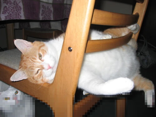 破局者诺里斯，一次超车如何撕碎红牛王朝神话