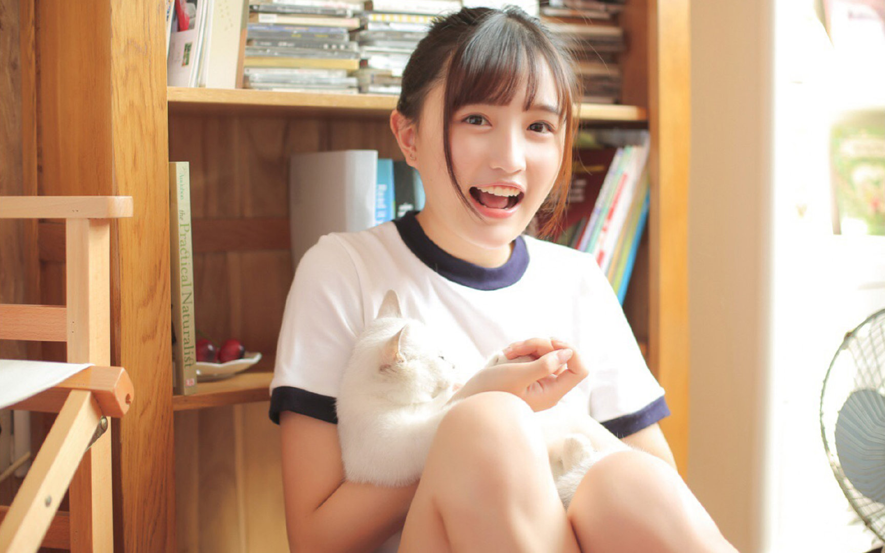 从废墟到荣耀，切尔西的巴黎之夜与孔德的加冕典礼