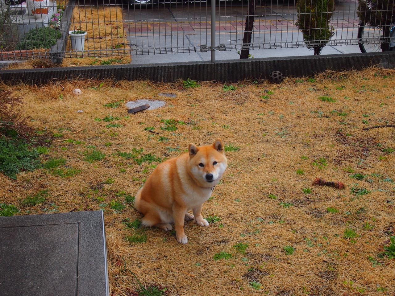 开云体育入口-跨界全明星决战，奥亚尔萨瓦尔的绝杀时刻