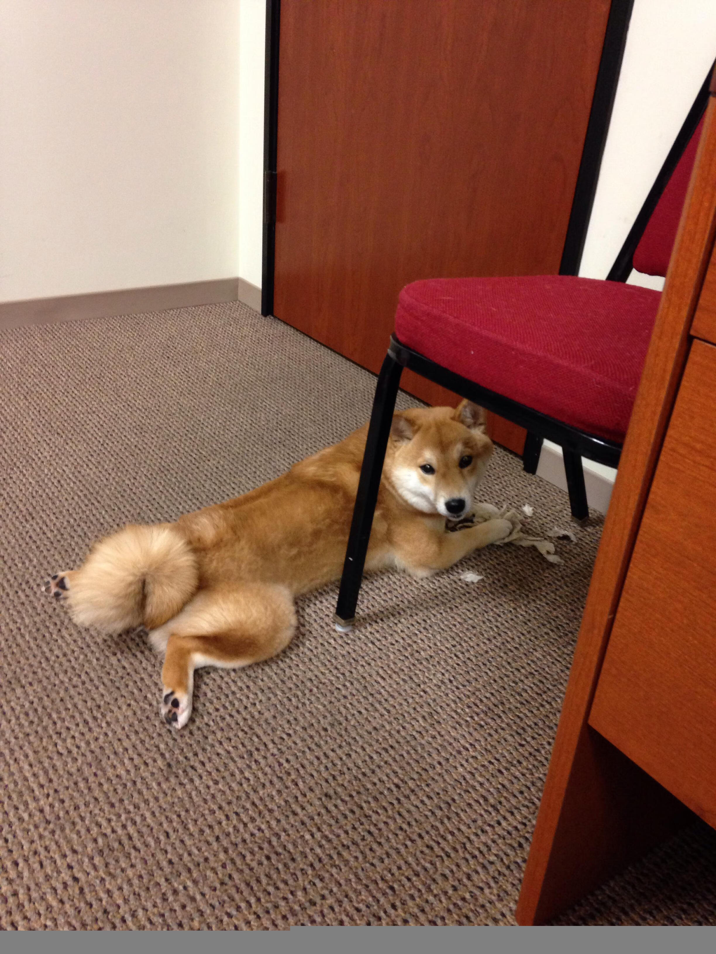 激情四射的篮球盛宴,开拓者与深圳的血汗较量,哈登笑到最后