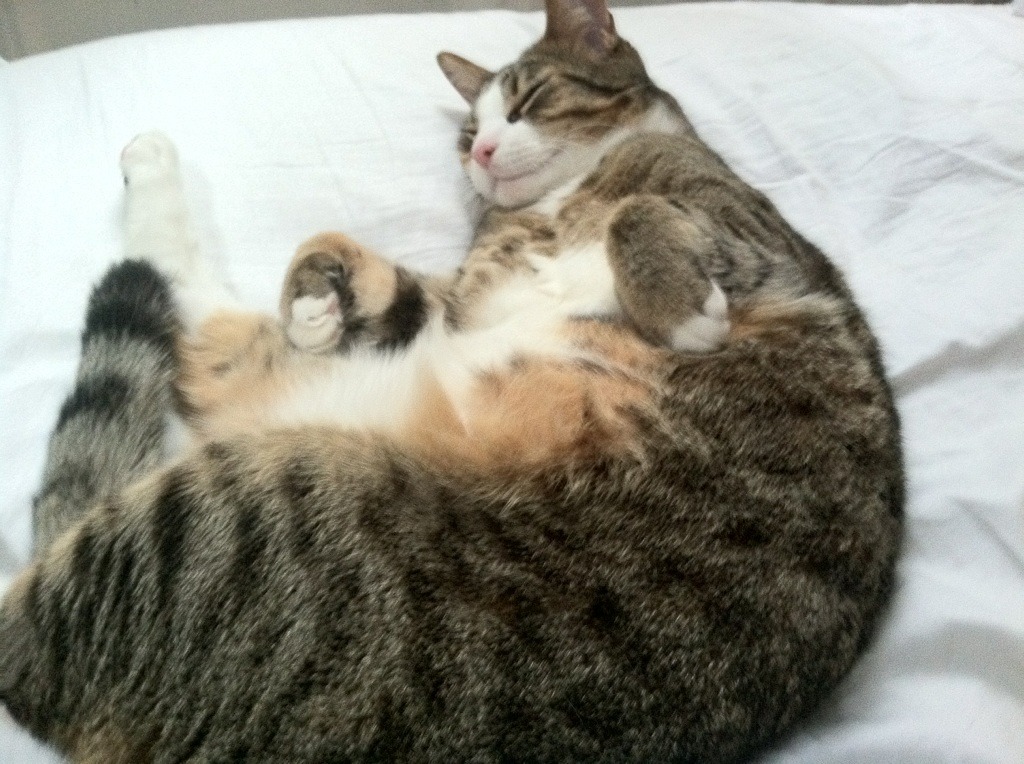 黄昏骑士的最后一剑，卡塞米罗如何一刀斩断美加墨世界杯之夜的全部悬念