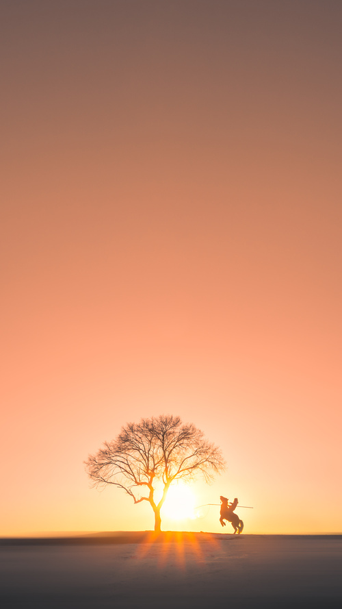 绝境点杀!阿尔瓦雷斯一球定音,墨西哥制霸马里昂首出线