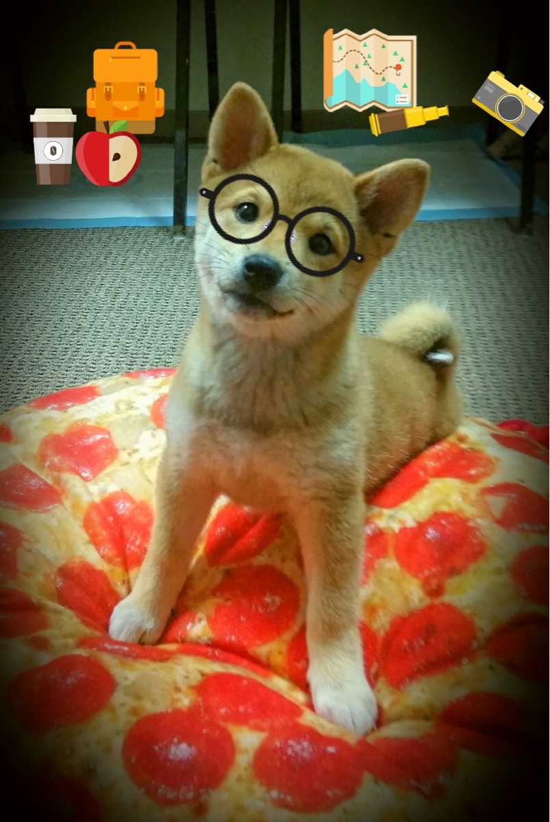 满分刻度上的战争,当凯塞多在排名之夜重塑最佳的定义