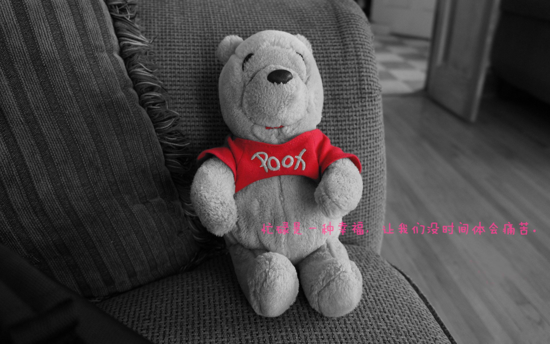 一夜双城记，勇士交响曲奏响夏洛特，戈贝尔铁幕守护明尼苏达